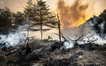 Оценка ущерба после стихийного бедствия в Омске: отчет оценщика